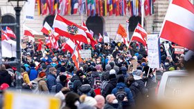 Protest odpůrců očkování ve Vídni. Proti povinné vakcinaci se postavilo zhruba 20 tisíc lidí (11. 12. 2021)