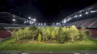 Les uprostřed fotbalového stadionu v Rakousku: Stromy jako ohrožený druh i umění