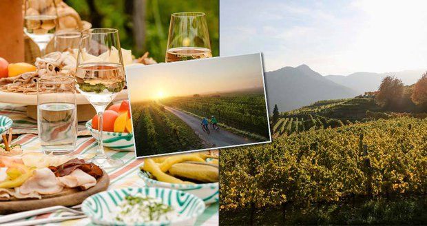 Za vínem k sousedům v Dolním Rakousku: Kde si užít vinařský podzim?