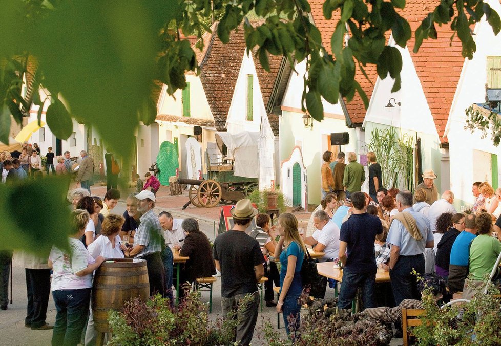 Za vínem k sousedům v Dolním Rakousku: Kde si užít vinařský podzim?