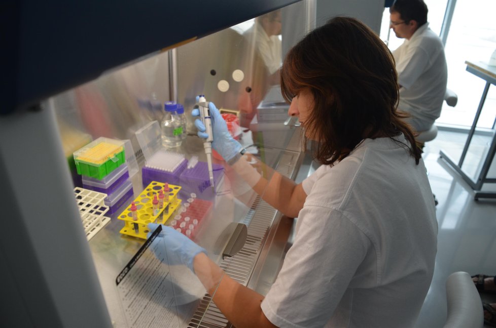 Laboratoř, ve které vědci v Brně provádějí rozbory krve a DNA pacientů s leukémií.