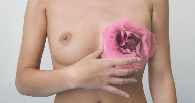 Pravidelné kontroly na mamografu odhalí nádor včas a včas se tak může začít léčit