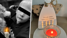 Smrtelně nemocný Vilík (†8) zemřel: Před smrtí si splnil sen