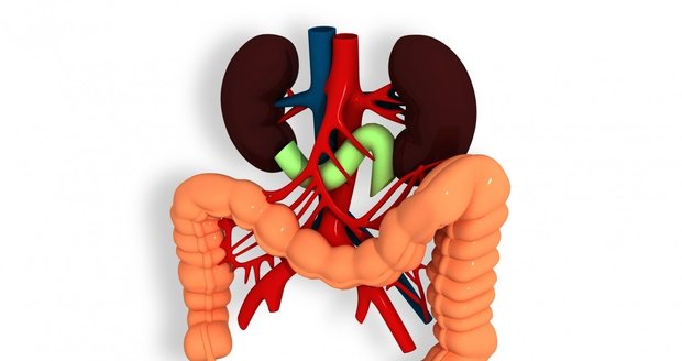 Češi vedou v úmrtnosti na rakovinu tlustého střeva, zjistěte, jak se chránit!