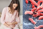 Lékaři zjišťují, kolik Čechů má v žaludku bakterii Helicobacter pylori.