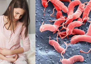 Lékaři zjišťují, kolik Čechů má v žaludku bakterii Helicobacter pylori.