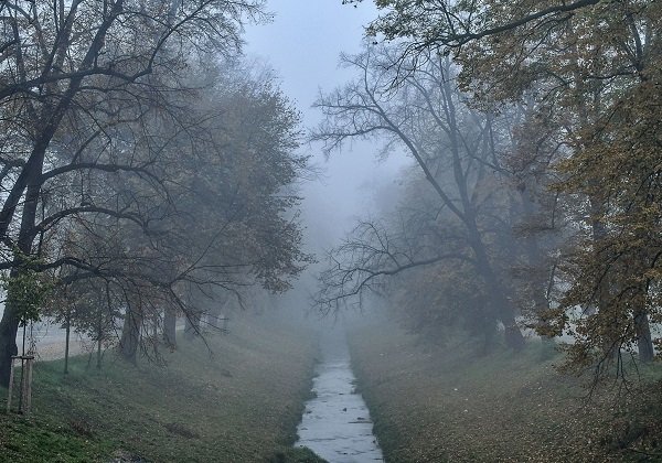 Na 1. místě v anketě Alej roku se za rok 2019 umístila Památná alej u Rakovnického potoka.