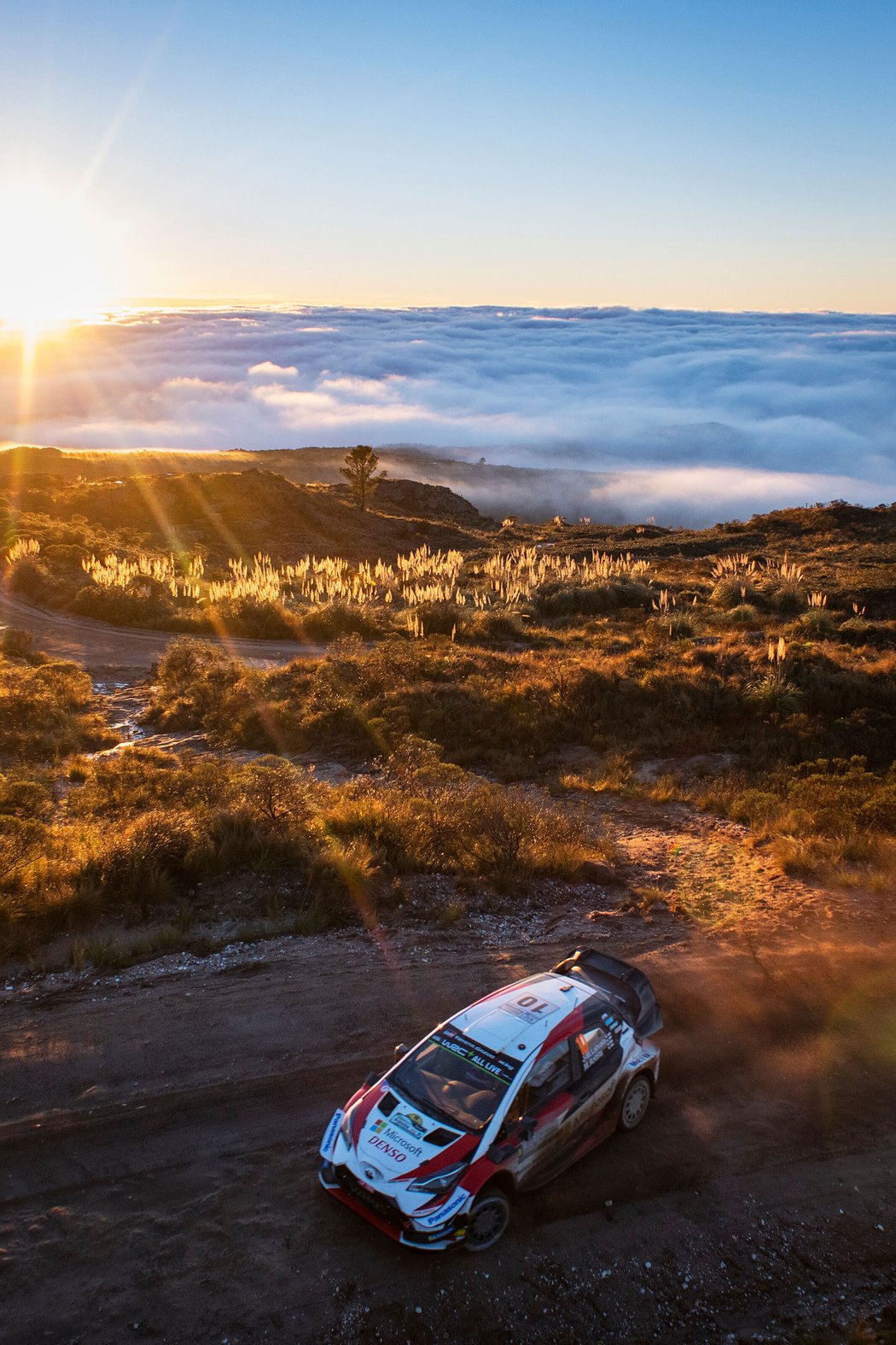 Rallye Argentina 2019