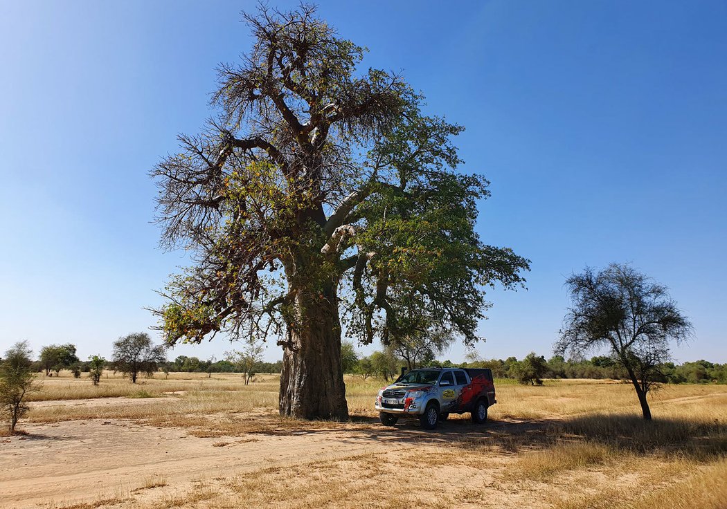 Rallye Budapešť – Bamako