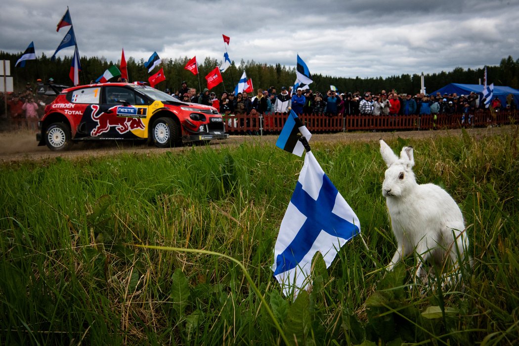 Rallye Finsko 2019