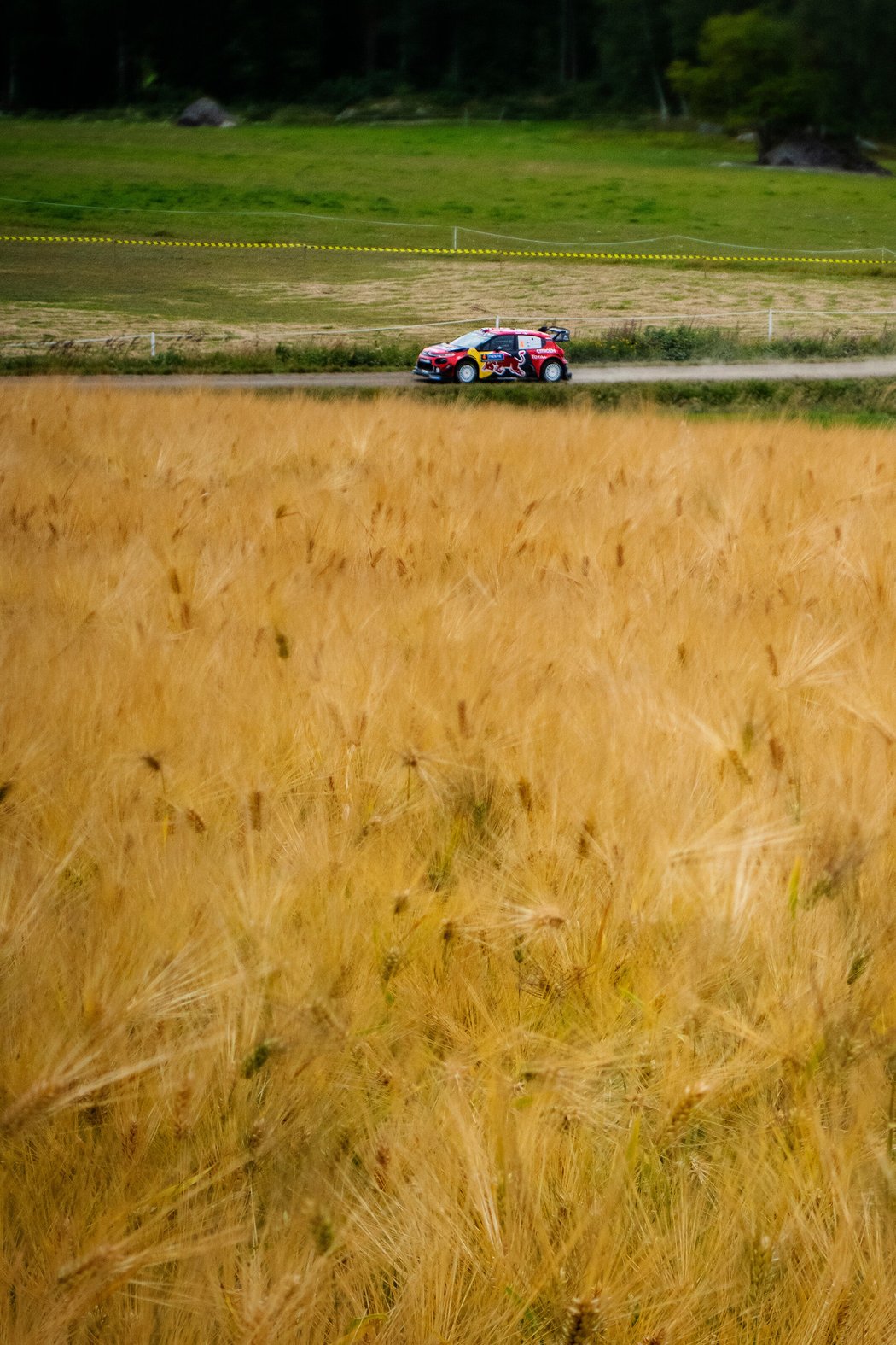 Rallye Finsko 2019