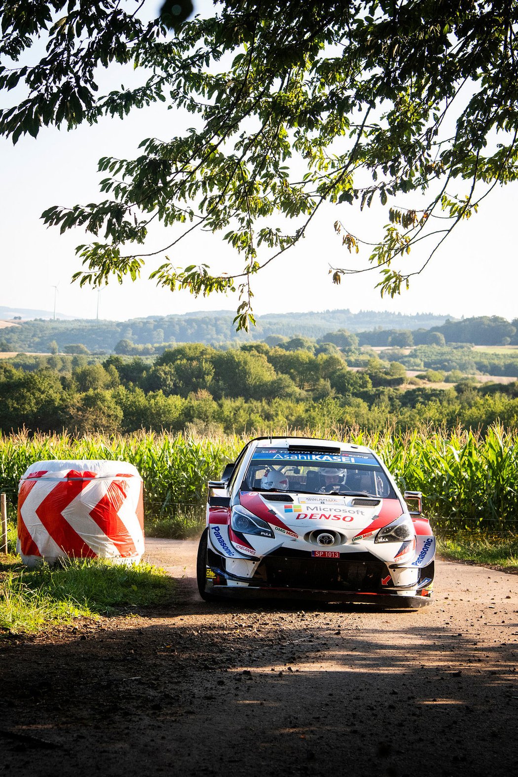 Německá rallye 2019