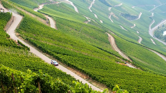 Před startem Německé rallye: Dosáhne Tänak na hattrick