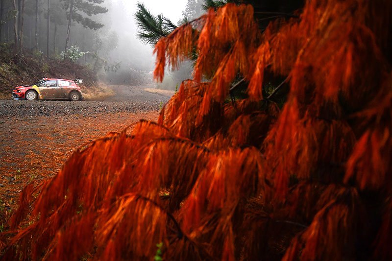 Rallye Chile 2019