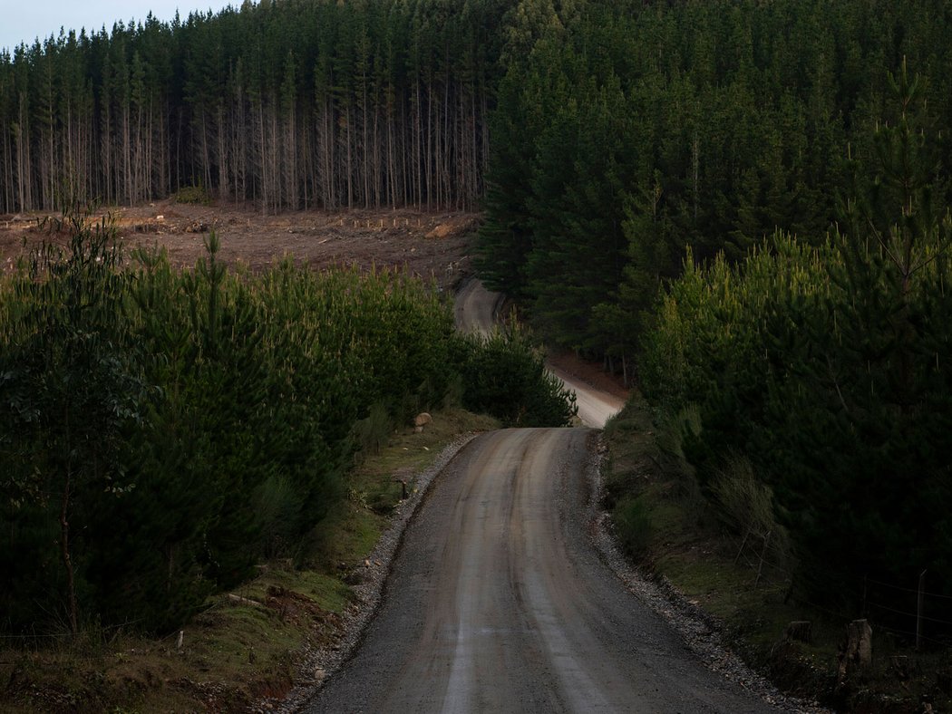 Rallye Chile 2019