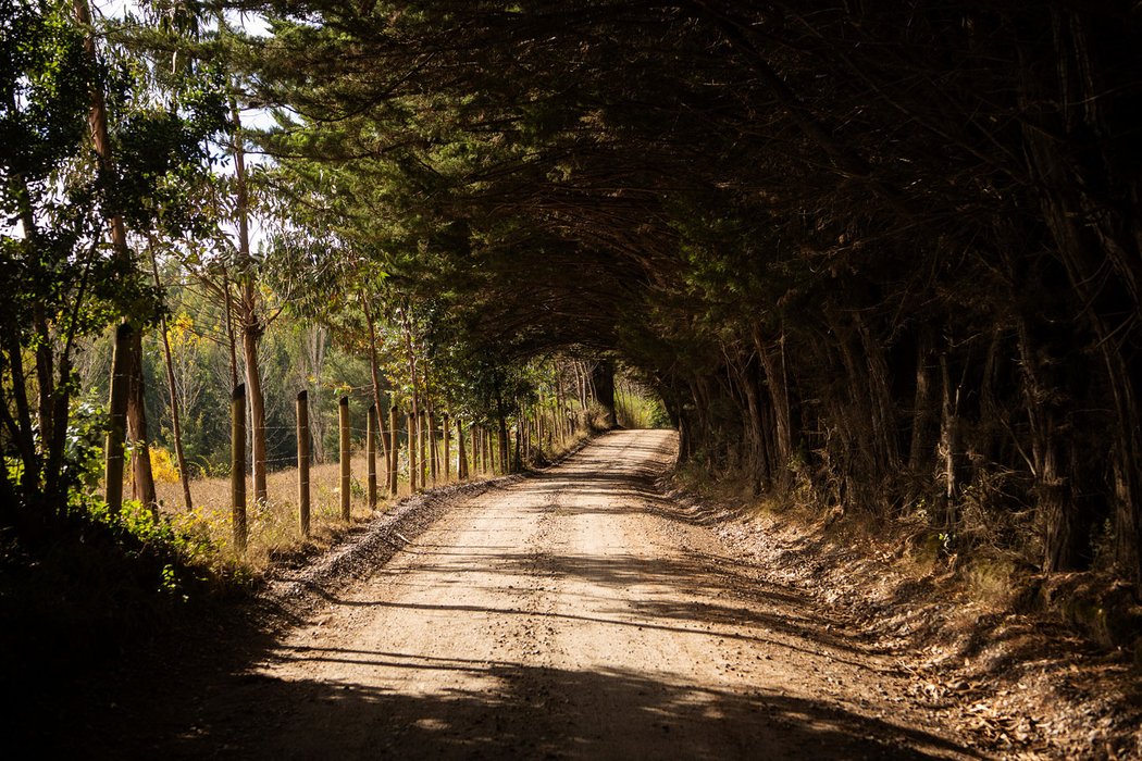 Rallye Chile 2019