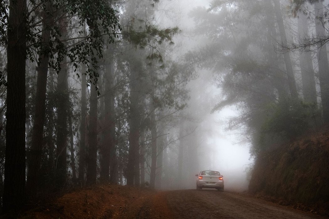 Rallye Chile 2019