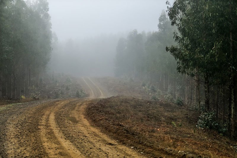 Rallye Chile 2019