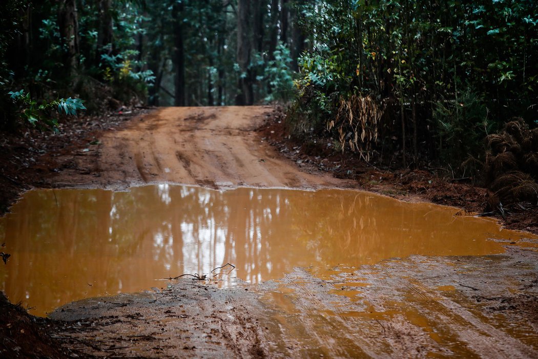 Rallye Chile 2019