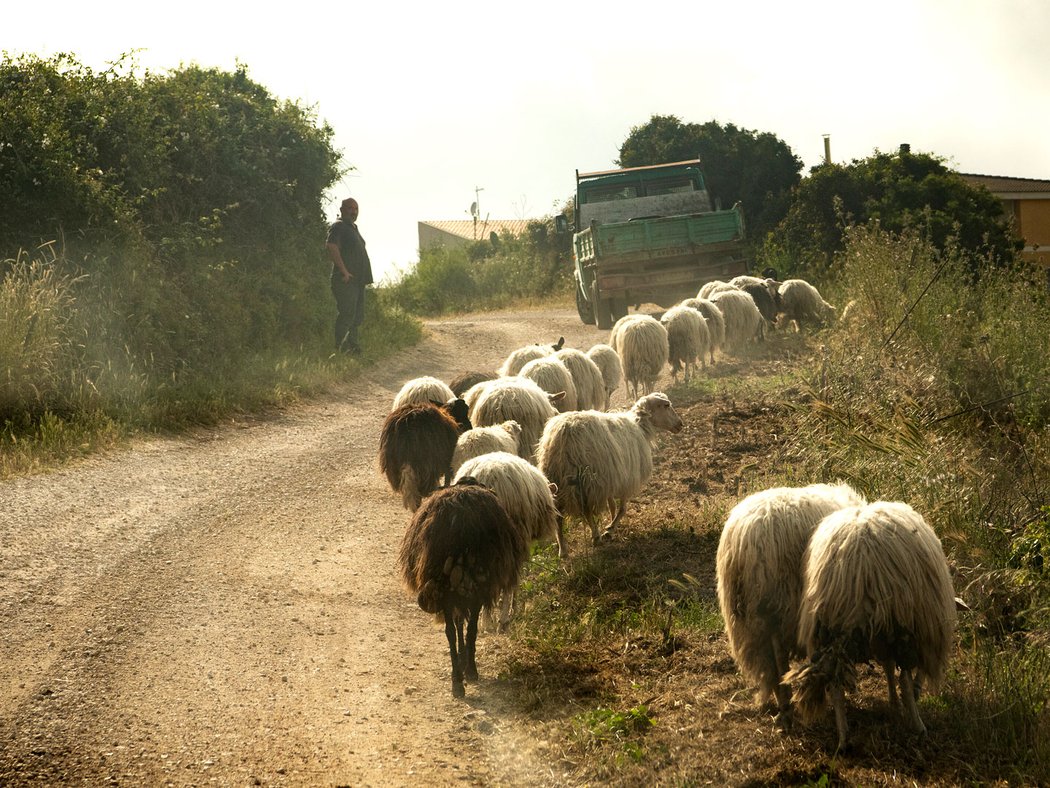 Rallye Sardinie