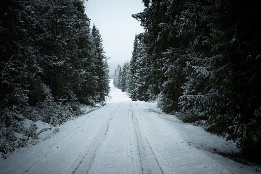 Rallye Švédsko 2020