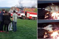 Opékání prasete skončilo požárem: Na Berounsku shořel ranč