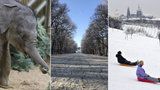 Láska kvete i v zimě: Tipy, kam v lednu na rande v Praze
