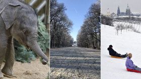 Chcete strávit se svou drahou polovičkou hezký čas? Máme pro vás tipy, kam vyrazit v Praze na rande i v lednu.