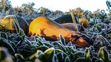 Meteorologové odhalili předpověď do pátku. Na horách se objeví prvky zimy, hrozí vichr i bouřky