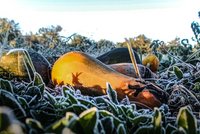 Babí léto definitivně končí. Meteorologové odhalili, jaký bude přelom října a listopadu