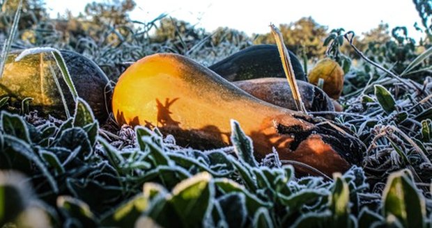 Středa 23. 9. přinese chladné ráno s teplotami od 2 °C a přízemními mrazíky. Přes den naměříme 14 až 18 °C, na jihu Moravy až 20 °C. ČHMÚ očekává i mlhy. Ilustrační foto. Středa 23. 9. přinese chladné ráno s teplotami od 2 °C a přízemními mrazíky. Přes den naměříme 14 až 18 °C, na jihu Moravy až 20 °C. ČHMÚ očekává i mlhy. Ilustrační foto.