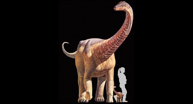 Malý velký dinosaurus: Skutečná dokonalá zmenšenina rapetosaura