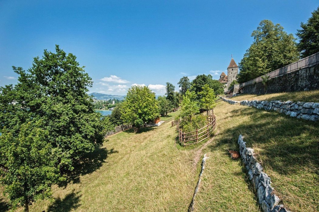 Městečko Rapperswil-Jona, kousek od alpských vrcholků, patří mezi nejlukrativnější místa ve Švýcarsku.