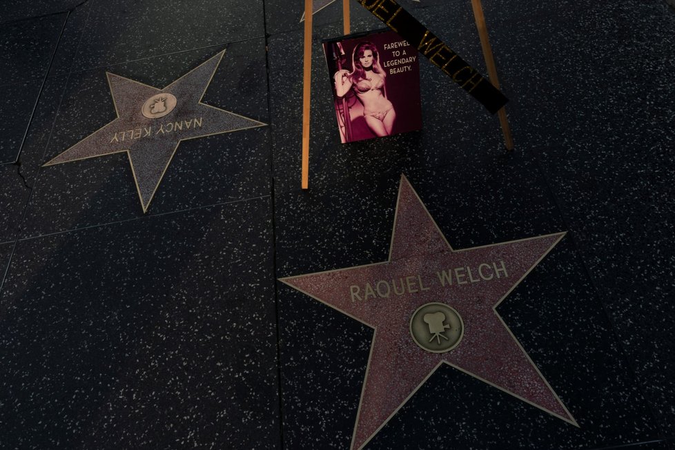 Hvězda Raquel Welchové na hollywoodském chodníku slávy.