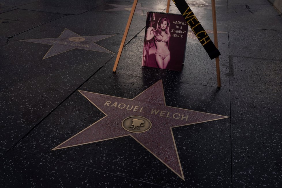 Hvězda Raquel Welchové na hollywoodském chodníku slávy.