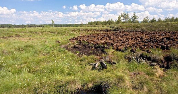 Houbařka na Šumpersku zapadla do rašeliniště: Našli ji pohřbenou do půl těla