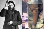 Rasputinův penis je vystaven v Petrohradu.