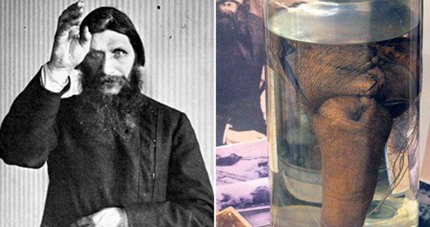 Rasputinův penis je vystaven v Petrohradu.
