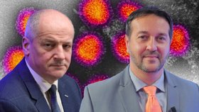 Promořování není pozitivní! Epidemiologové pro Blesk o epidemii chřipky: Je na vrcholu? A kdy udeří covid?
