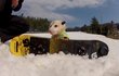 Chvíle odpočinku, přesně takhle relaxují ostřílení snowboarďáci.