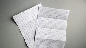 David Rath odepsal redakci Blesk Zpráv z teplické věznice na 28 otázek. Dopis psal ručně, odpověď přišla do tří týdnů.