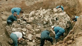 Masové hroby: Hrůzné pozůstatky masakru ve Srebrenici