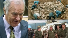 Ratko Mladič, někdejší srbský generál, spoluzodpovědný za masakr tisícovek Muslimů, před mezinárodním tribunálem v Haagu