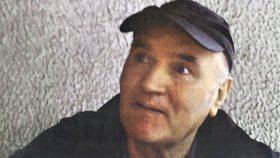 Soud přerušil jednání o vydáni Ratko Mladiče k mezinárodnímu tribunálu v Haagu