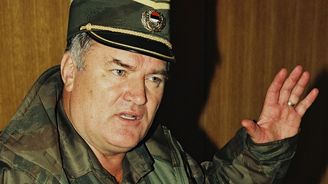 Vladimír Dzuro: Mladićův státní pohřeb? Jako by německá vláda uspořádala státní pohřeb za Hitlera Vladimír Dzuro: Mladićův státní pohřeb? Jako by německá vláda uspořádala státní pohřeb za Hitlera