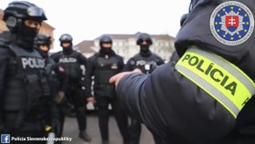 Slovenská policie tvrdě zasáhla proti gangu kuplířů s nezletilými dívkami.