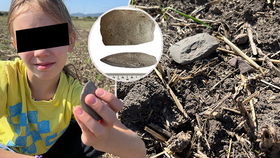 Jen osmiletá Rebeka našla na poli tisíce let starou sekyrku. Archeologové žasnou.