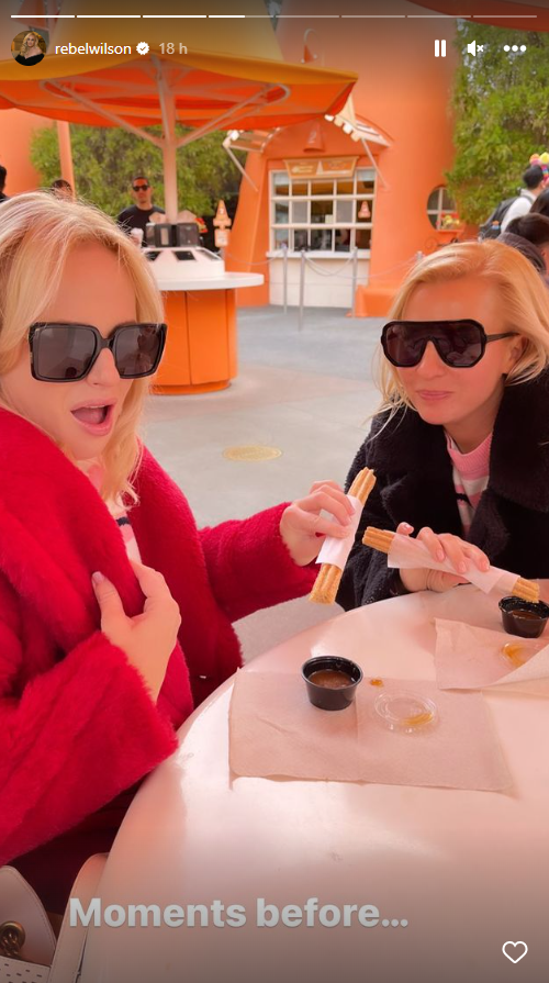 Rebel Wilson a Ramona Agruma se zasnubily.