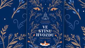 Recenze: Zlotřilý černokněžník z Hvozdu připomíná staré ruské pohádky s kapkou modernity