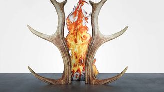 Člověk a Země „v kostce“: Současní světoví umělci reagují v KodlContemporary na předabstraktního Kupku Člověk a Země „v kostce“: Současní světoví umělci reagují v KodlContemporary na předabstraktního Kupku